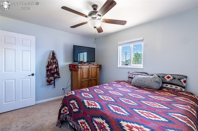 105 Illinois St, Penrose, CO 81240 - photo 14