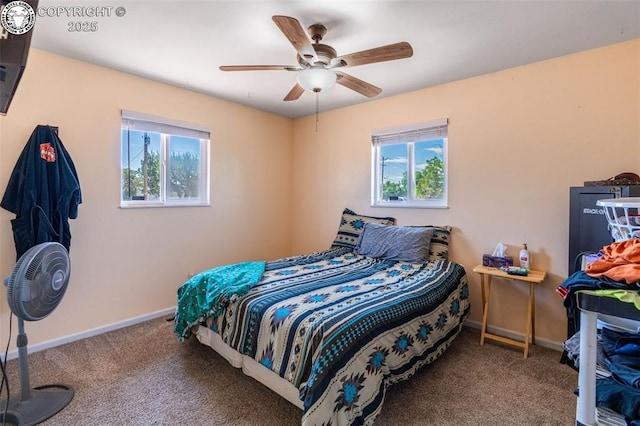 105 Illinois St, Penrose, CO 81240 - photo 17