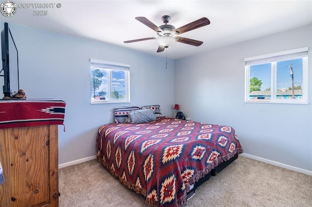 105 Illinois St, Penrose, CO 81240 - photo 13