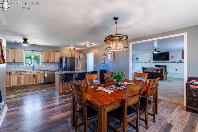 105 Illinois St, Penrose, CO 81240 - photo 5