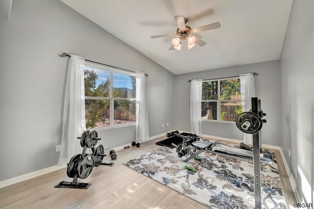 workout room featuring ceiling fan, plenty of natural light, vaulted ceiling, and light hardwood / wood-style flooring