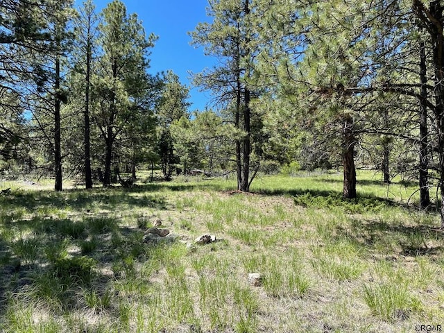 383 Hackberry Ln, Canon City CO, 81212 land for sale