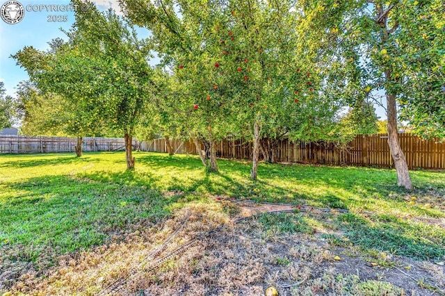 1540 Colorado Ave, Canon City, CO 81212 - photo 37