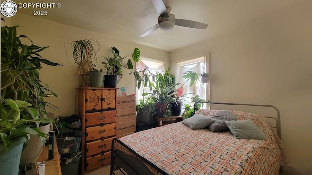 2733 5th Ave, Pueblo, CO 81003 - photo 13