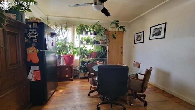 2733 5th Ave, Pueblo, CO 81003 - photo 16