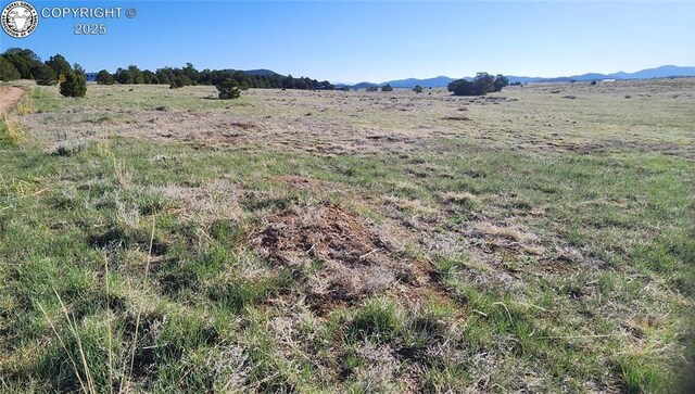 TBD 16th Trail, Cotopaxi, CO 81223