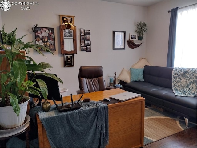 home office featuring wood finished floors