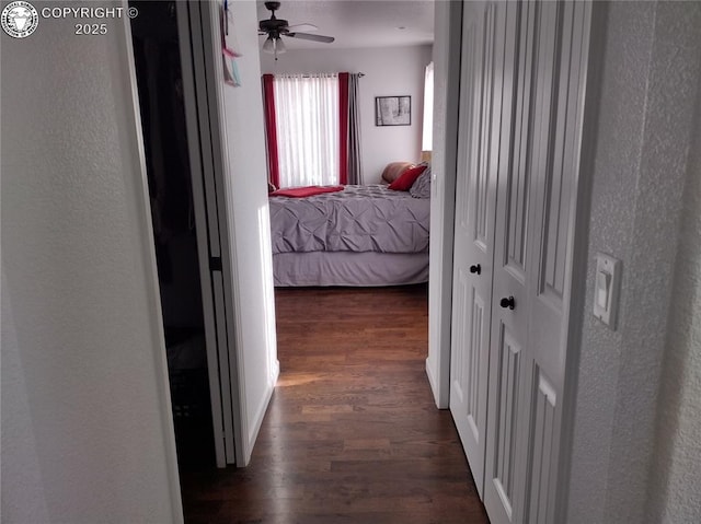 corridor with dark wood-style floors