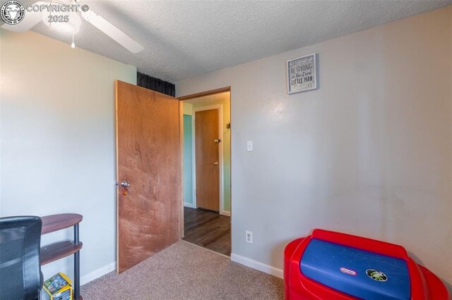 490 K St, Penrose, CO 81240 - photo 15