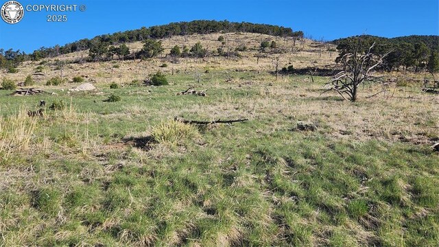 TBD 24th Trail, Cotopaxi, CO 81223