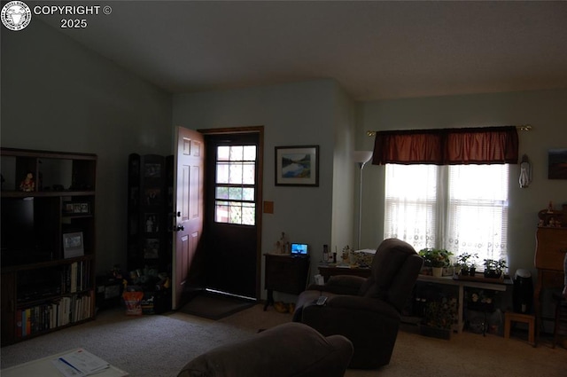 1131 Barr Ave, Canon City, CO 81212 - photo 11