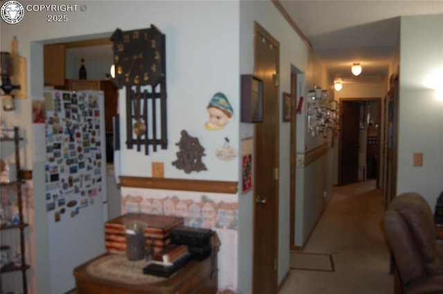 1131 Barr Ave, Canon City, CO 81212 - photo 6