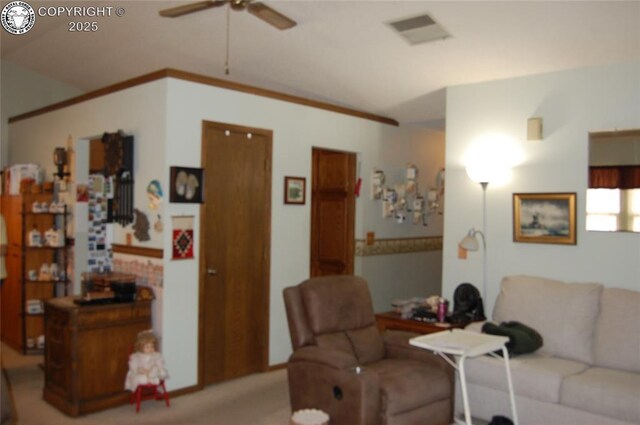 1131 Barr Ave, Canon City, CO 81212 - photo 4