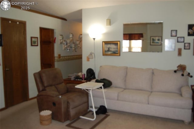 1131 Barr Ave, Canon City, CO 81212 - photo 5