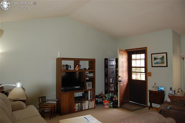 1131 Barr Ave, Canon City, CO 81212 - photo 10