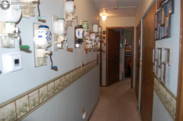 1131 Barr Ave, Canon City, CO 81212 - photo 8