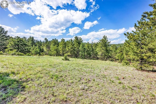 3044 Delilah Dr, Canon City, CO 81212
