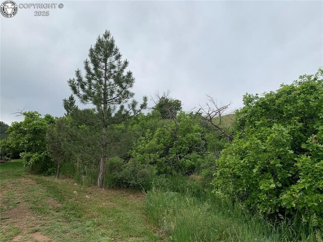2075 County Road 389th Rd, Wetmore, CO 81253 - photo 24