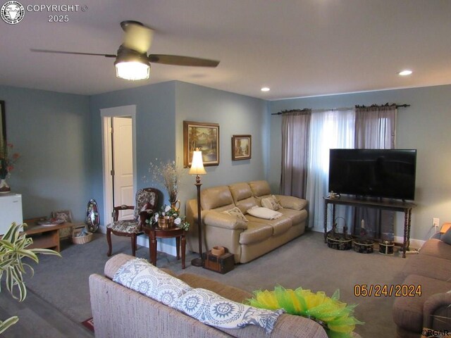 2075 County Road 389th Rd, Wetmore, CO 81253 - photo 15