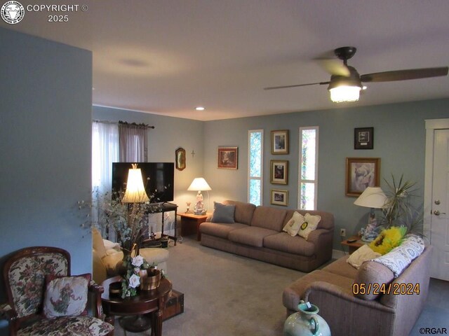 2075 County Road 389th Rd, Wetmore, CO 81253 - photo 14