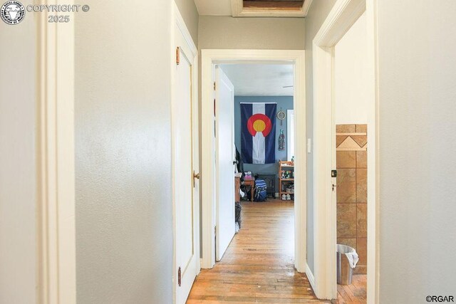 corridor with light wood-type flooring