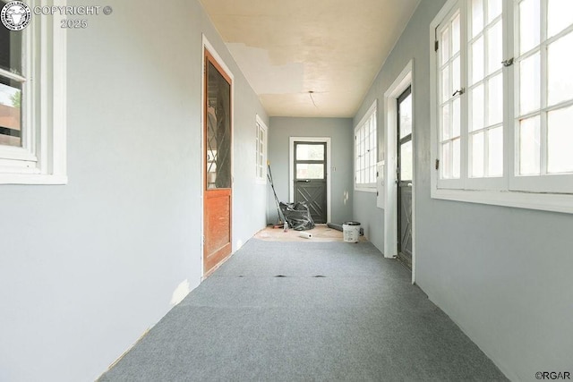 hallway featuring carpet floors