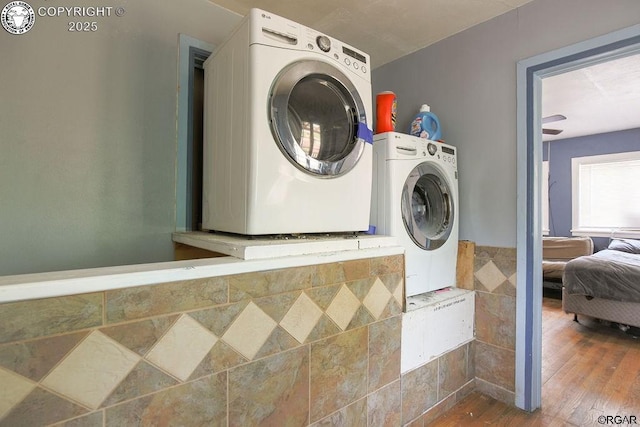 washroom featuring dark wood-type flooring and washing machine and clothes dryer