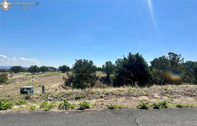 140 N Osprey Ct, Canon City, CO 81212 - photo 7