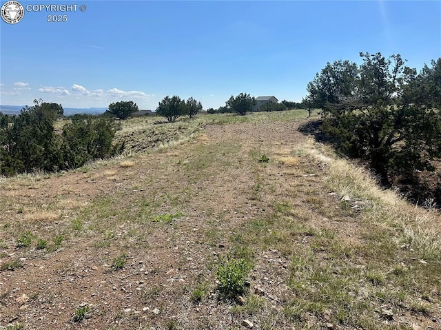 140 N Osprey Ct, Canon City, CO 81212 - photo 6
