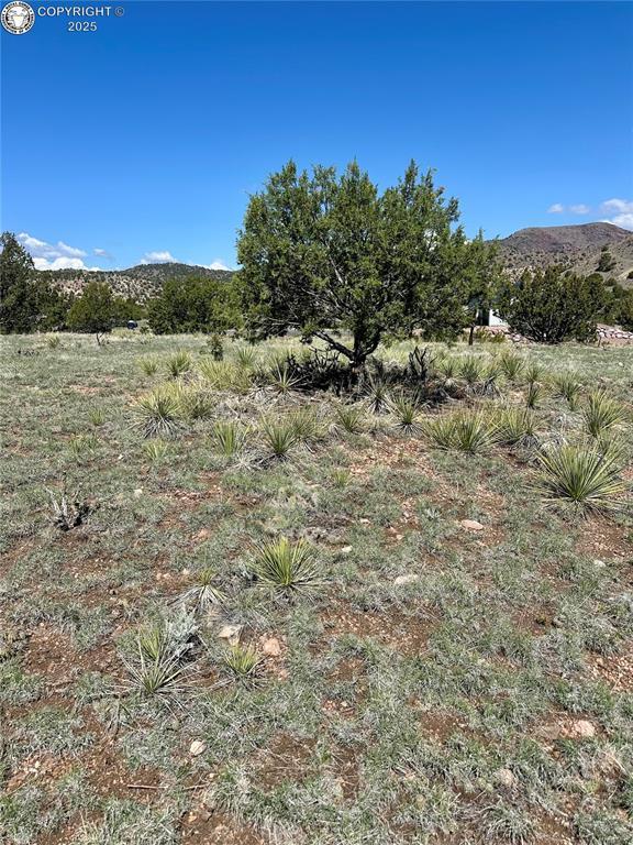 140 N Osprey Ct, Canon City, CO 81212 - photo 5