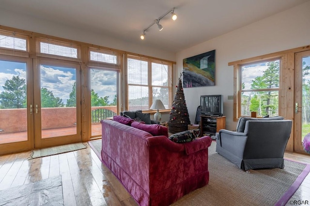 living room with rail lighting and light wood-type flooring