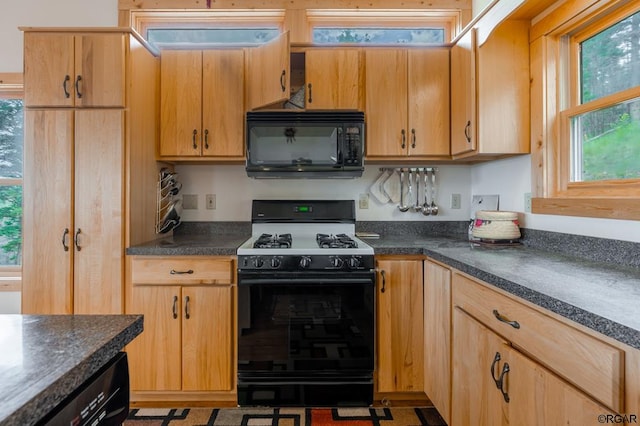 kitchen with black appliances