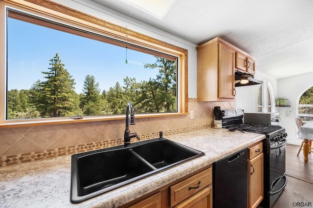 kitchen with sink, black appliances, a healthy amount of sunlight, and light wood-type flooring