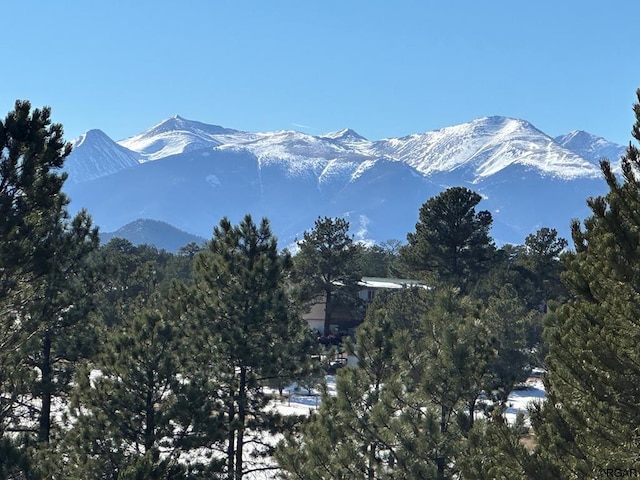 view of mountain feature