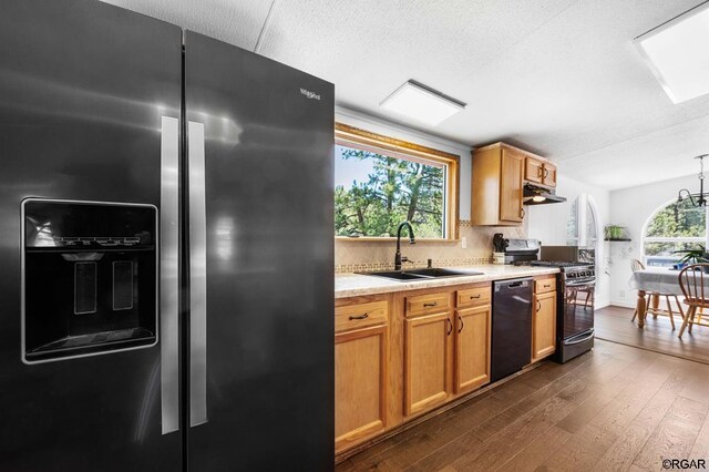 kitchen featuring dark hardwood / wood-style flooring, sink, plenty of natural light, and stainless steel appliances