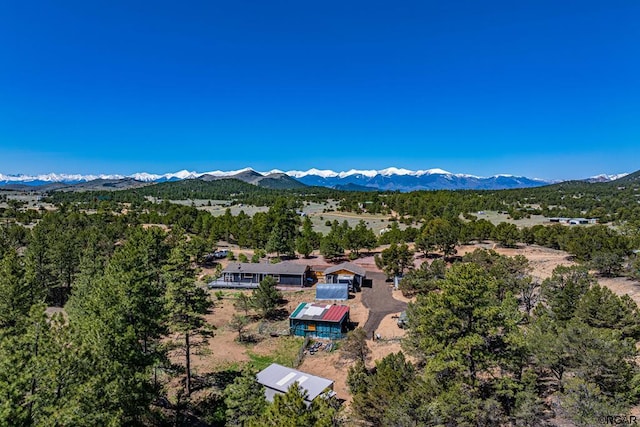 birds eye view of property with a mountain view