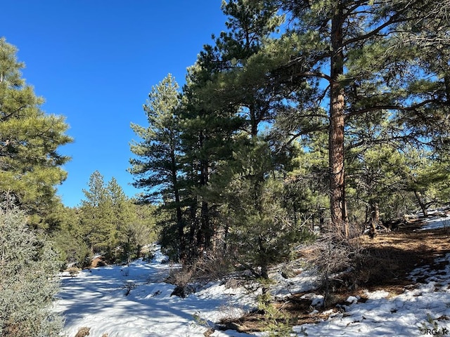 view of local wilderness