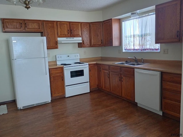 kitchen with sink, white appliances, dark wood-type flooring, and a textured ceiling