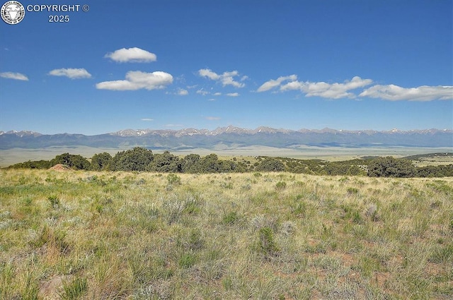 800 Wet Mountain Trl, Westcliffe, CO 81252 - photo 44