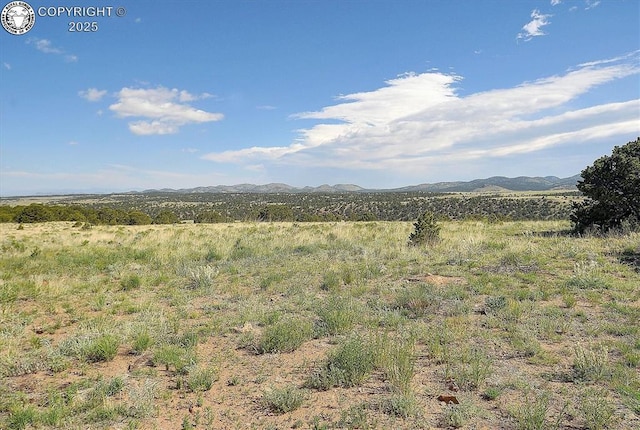 800 Wet Mountain Trl, Westcliffe, CO 81252 - photo 43