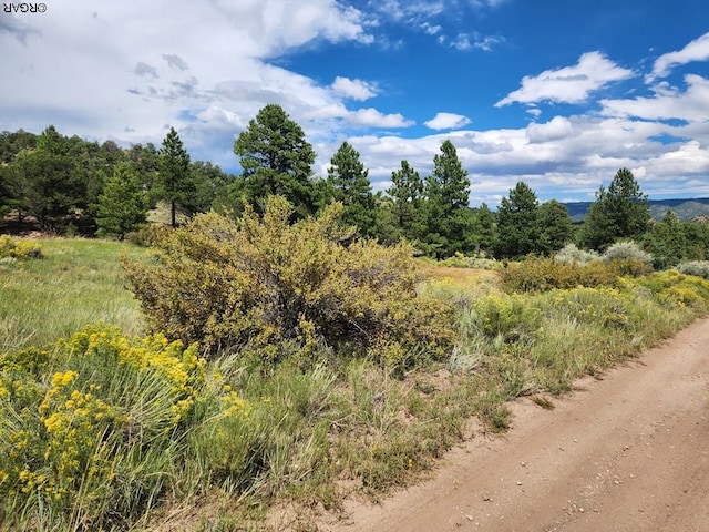 Listing photo 3 for 15 Arroyo Ave, Westcliffe CO 81252