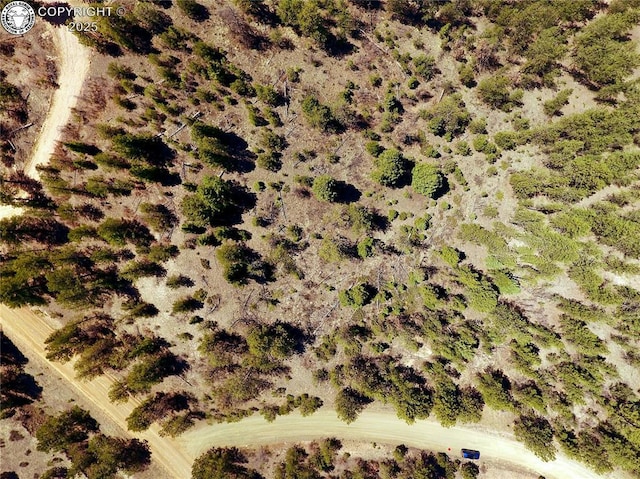 39 Staghorn Ln, Canon City, CO 81212 - photo 4