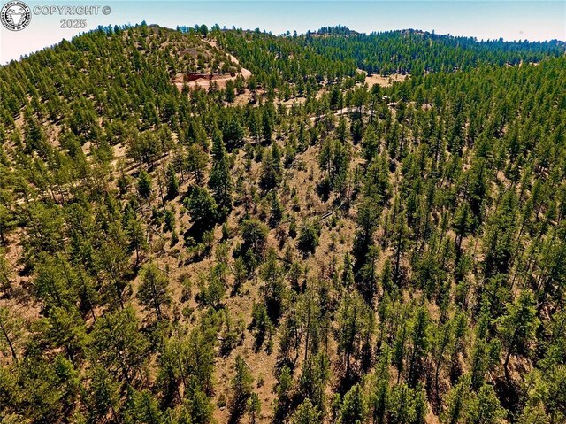 39 Staghorn Ln, Canon City, CO 81212 - photo 8