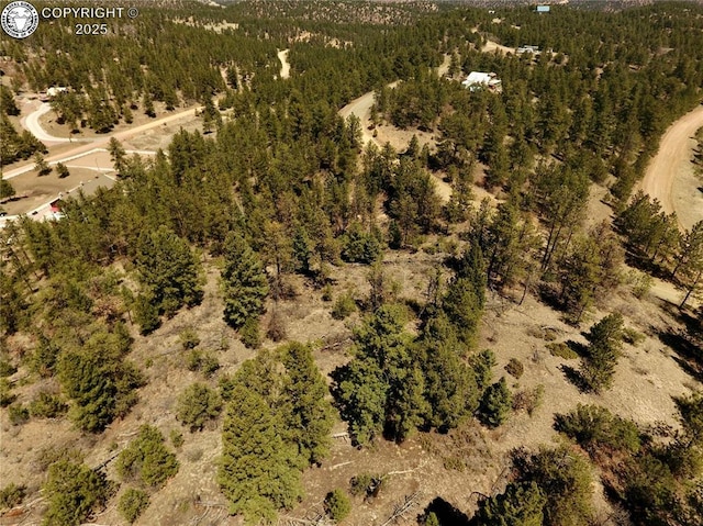 39 Staghorn Ln, Canon City, CO 81212 - photo 1