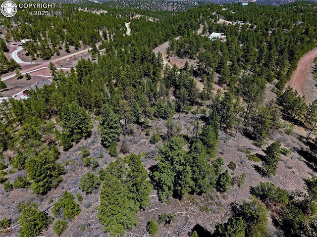 39 Staghorn Ln, Canon City, CO 81212 - photo 9