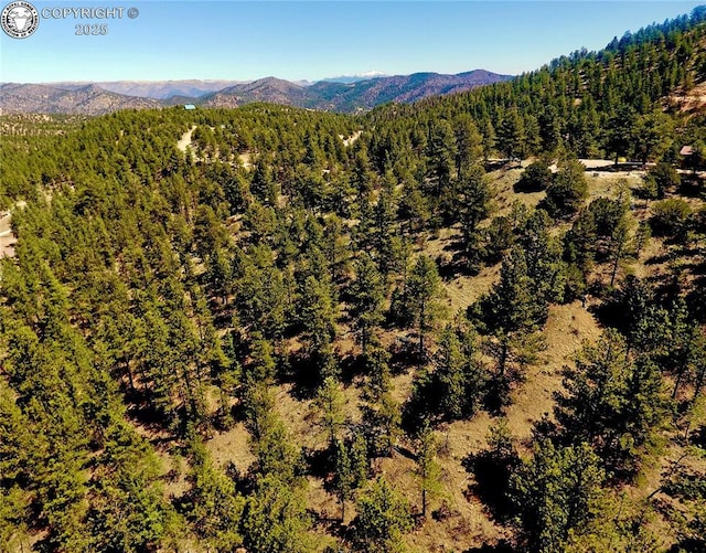 39 Staghorn Ln, Canon City, CO 81212 - photo 5