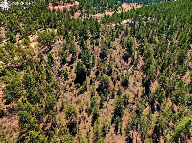 39 Staghorn Ln, Canon City, CO 81212 - photo 12