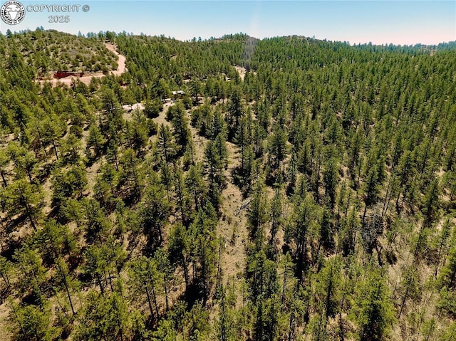 39 Staghorn Ln, Canon City, CO 81212 - photo 7