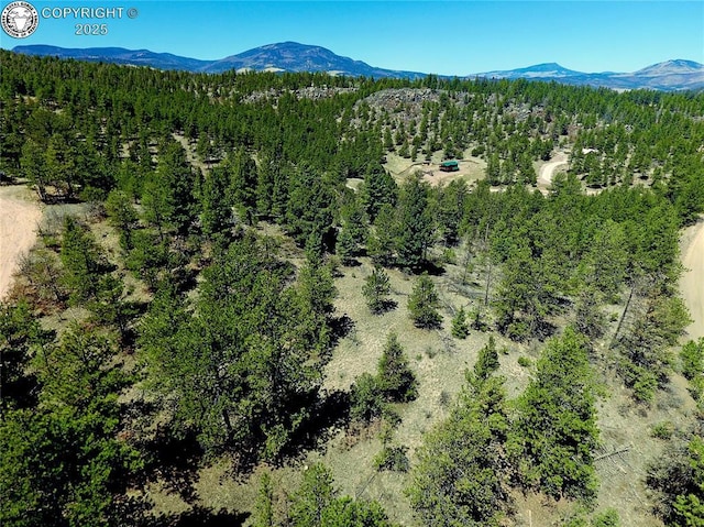 39 Staghorn Ln, Canon City, CO 81212 - photo 3