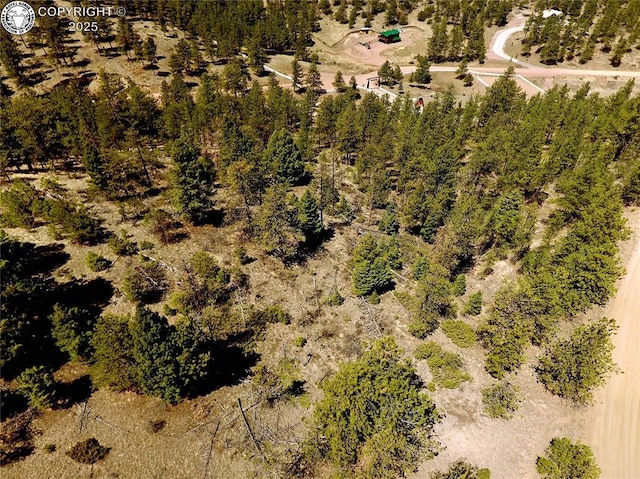 39 Staghorn Ln, Canon City, CO 81212 - photo 10